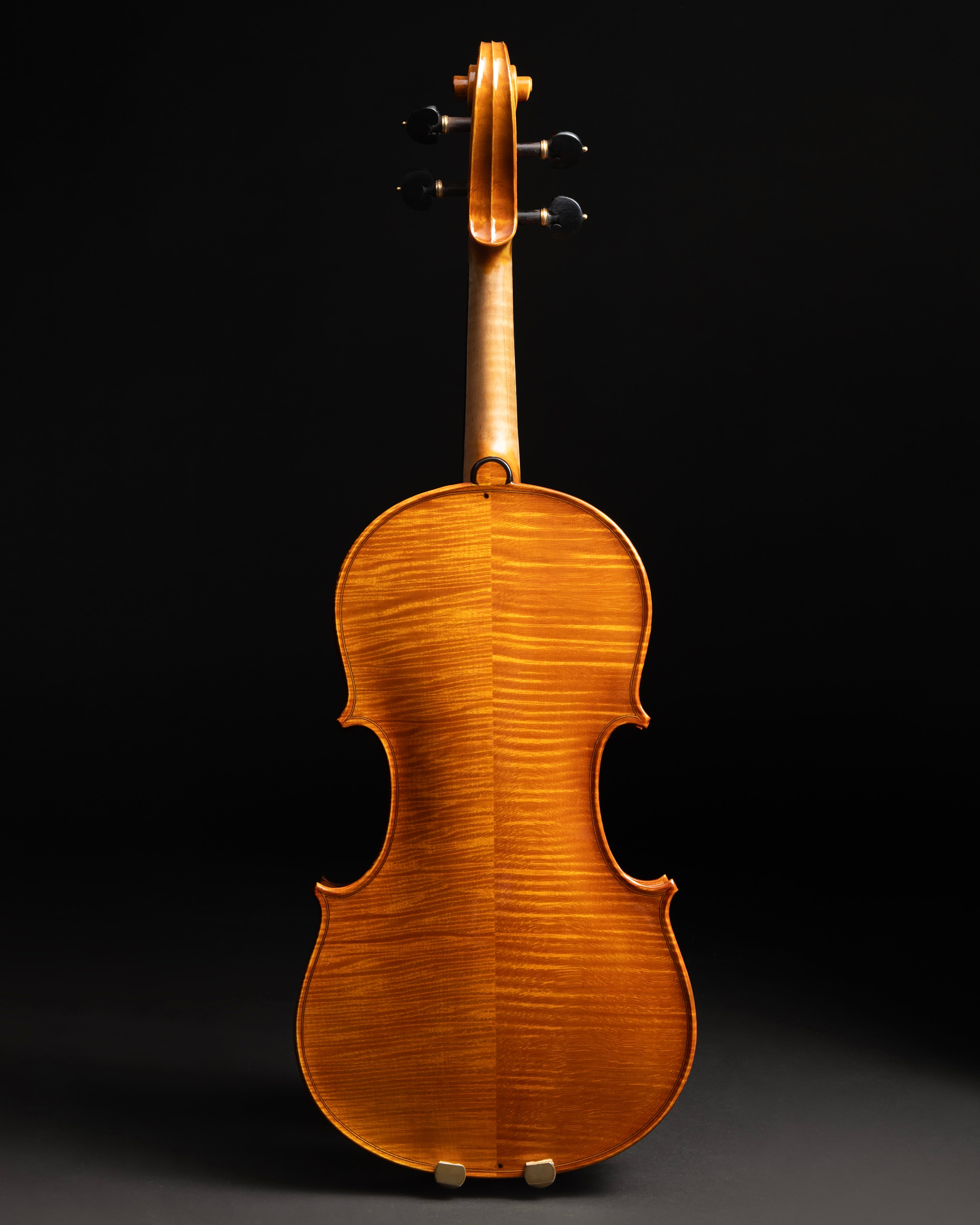 Violino Splendore