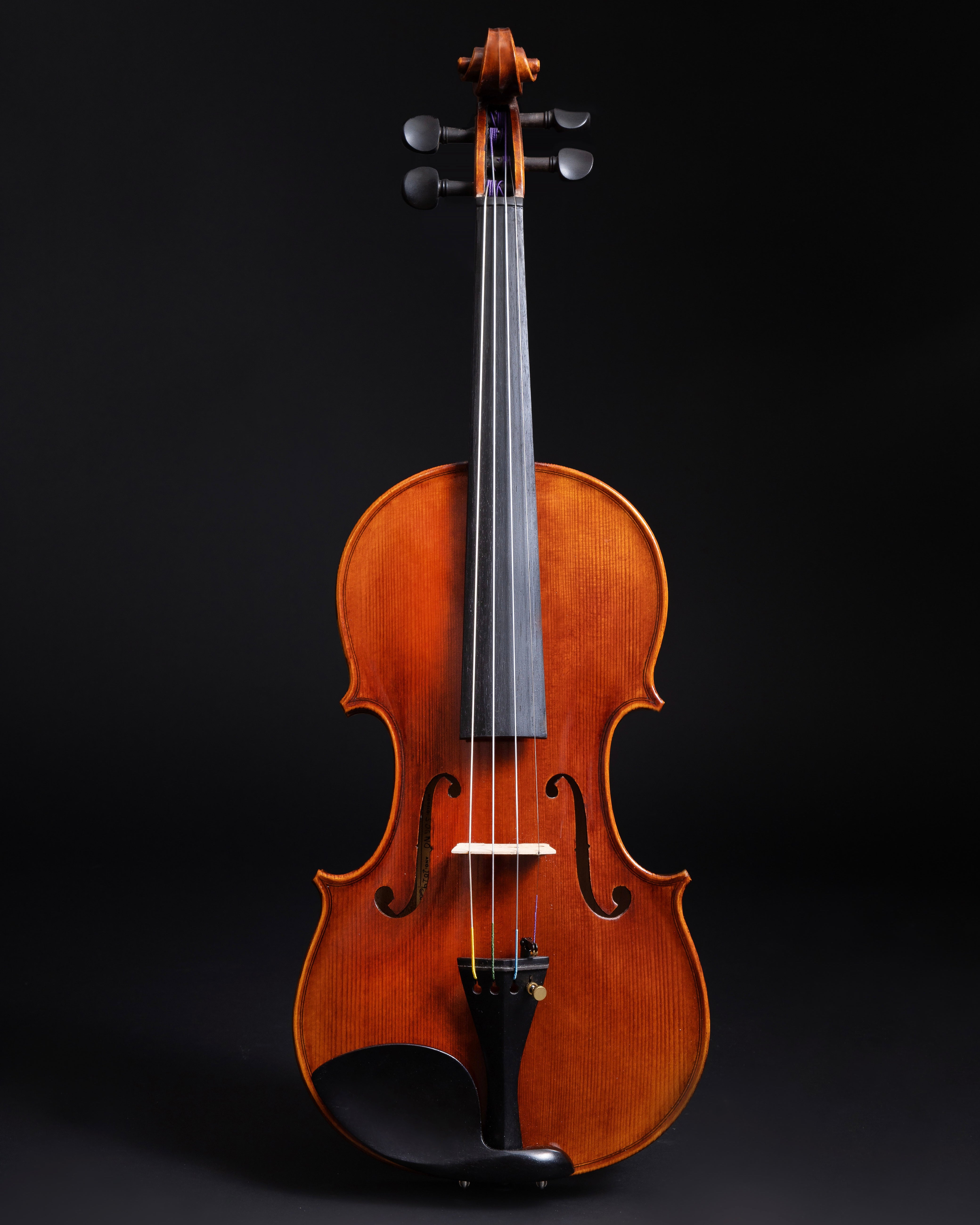 Violino Sogno