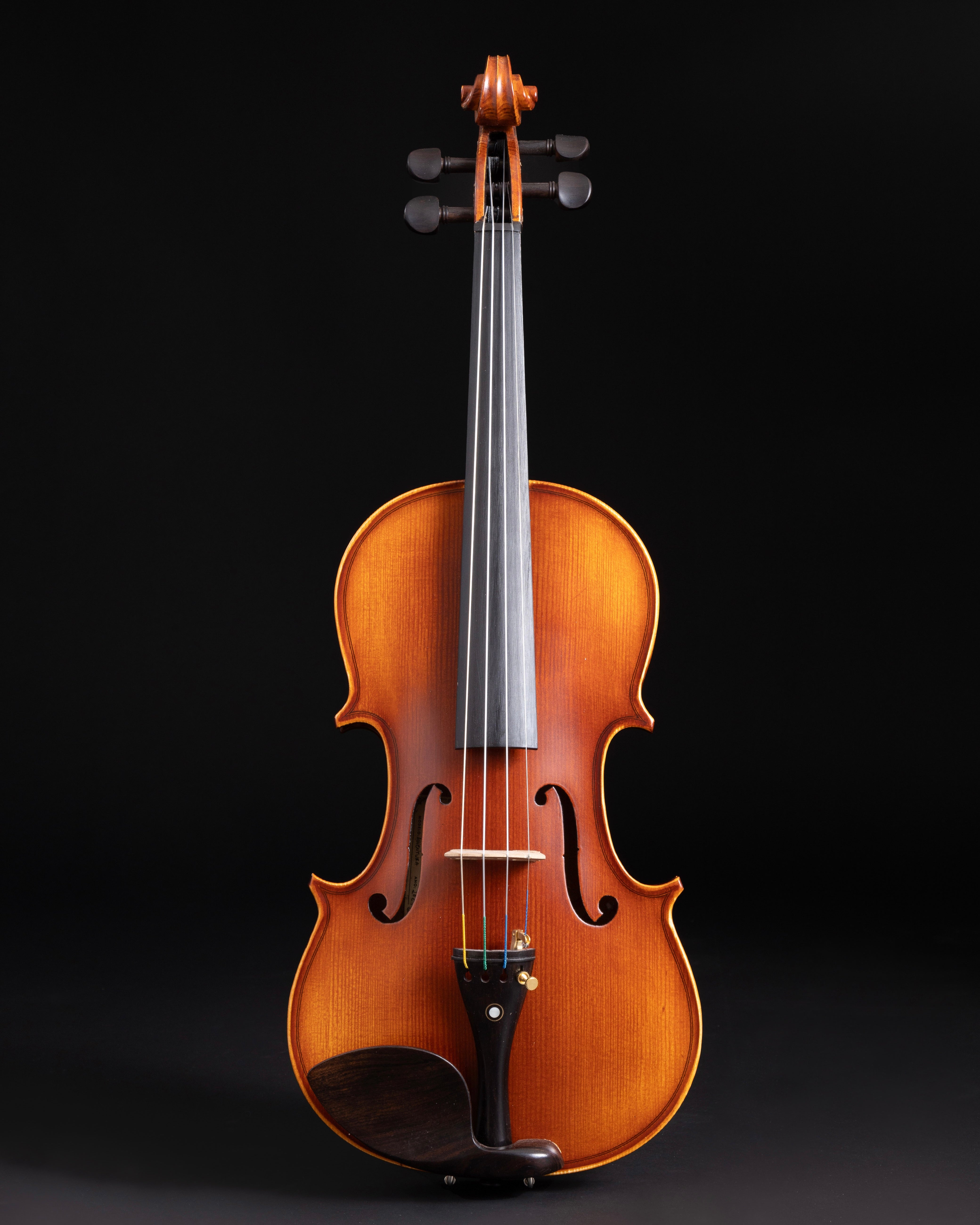 Violino Avventura