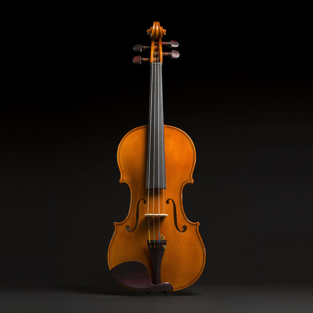 Violino Aurea