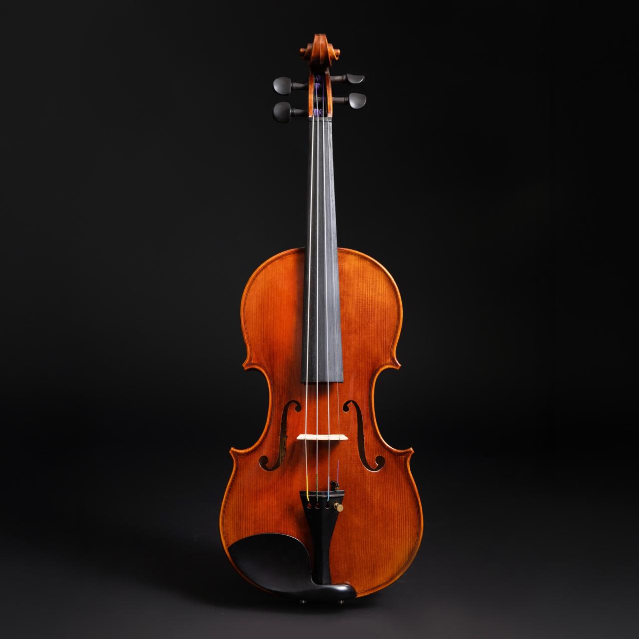 Violino Sogno