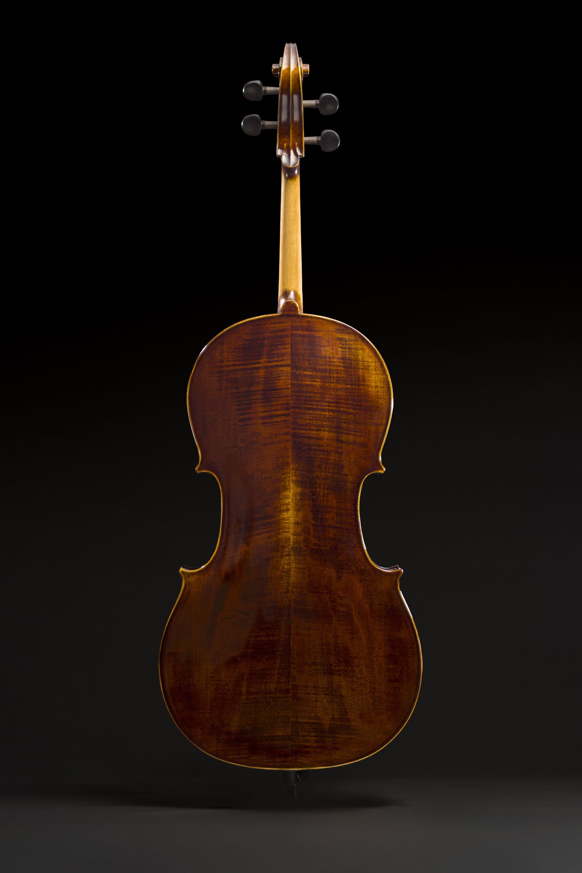 Violoncelo Magnifico