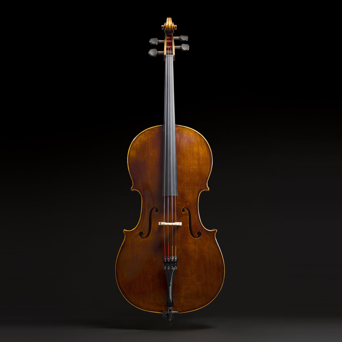 Violoncelo Magnifico