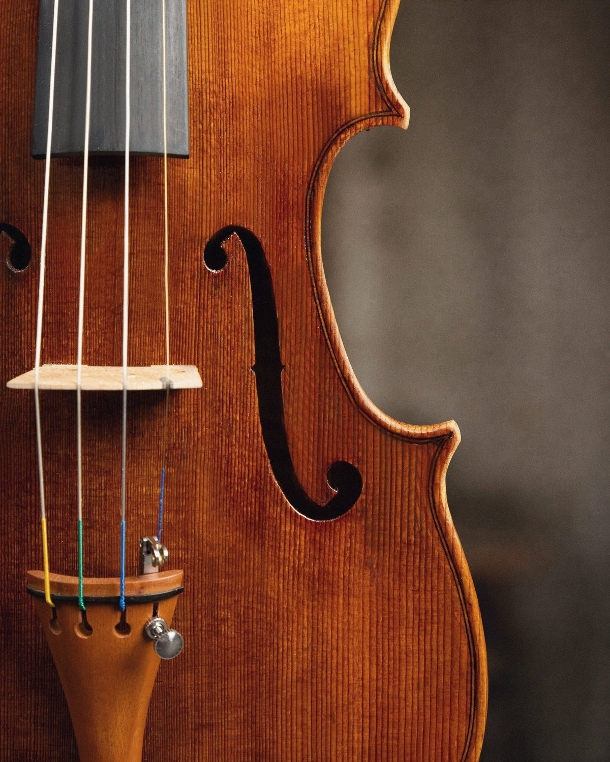 Como escolher o violino ideal