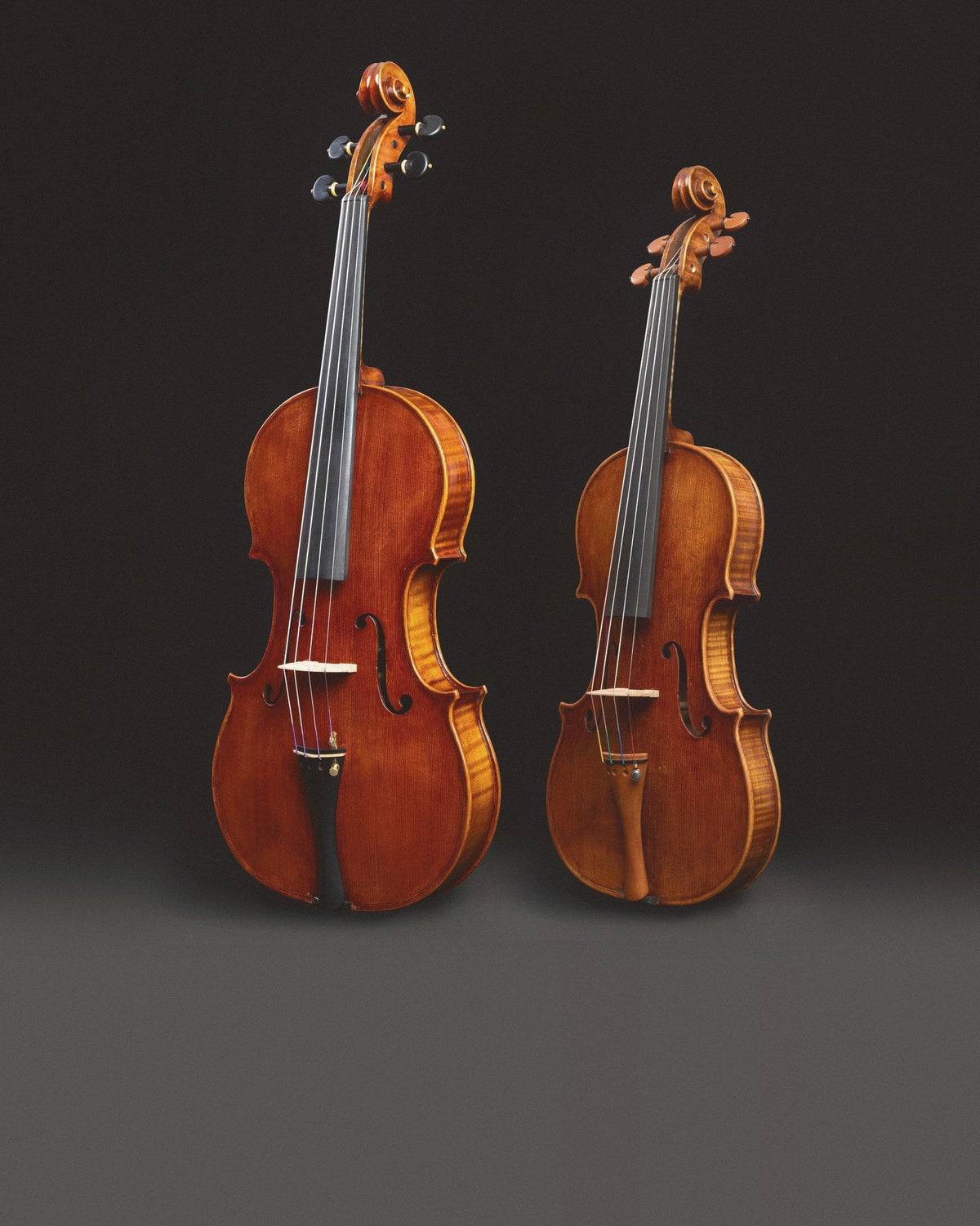 Viola ou violino