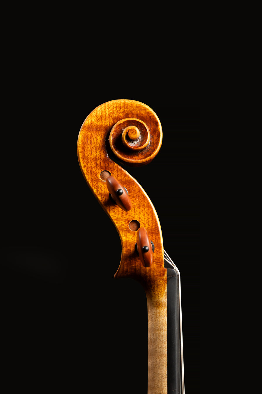 Violino Guarneri del Gesù Vieuxtemps – foto 6