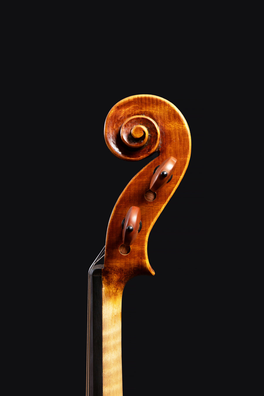 Violino Guarneri del Gesù Vieuxtemps – foto 5