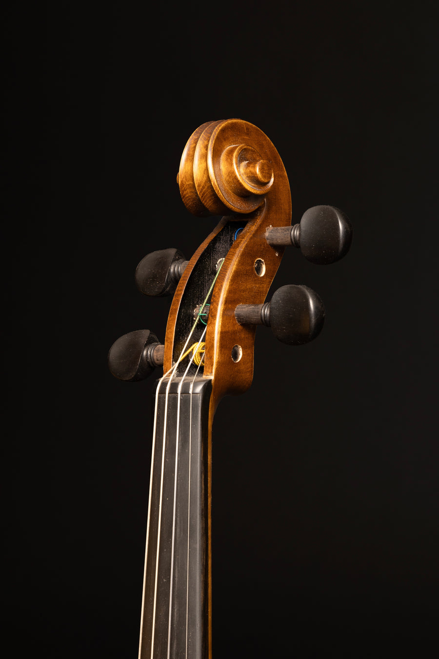 Violino Passione