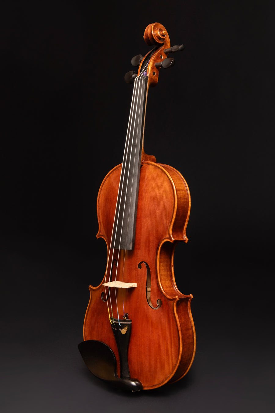 Violino Sogno