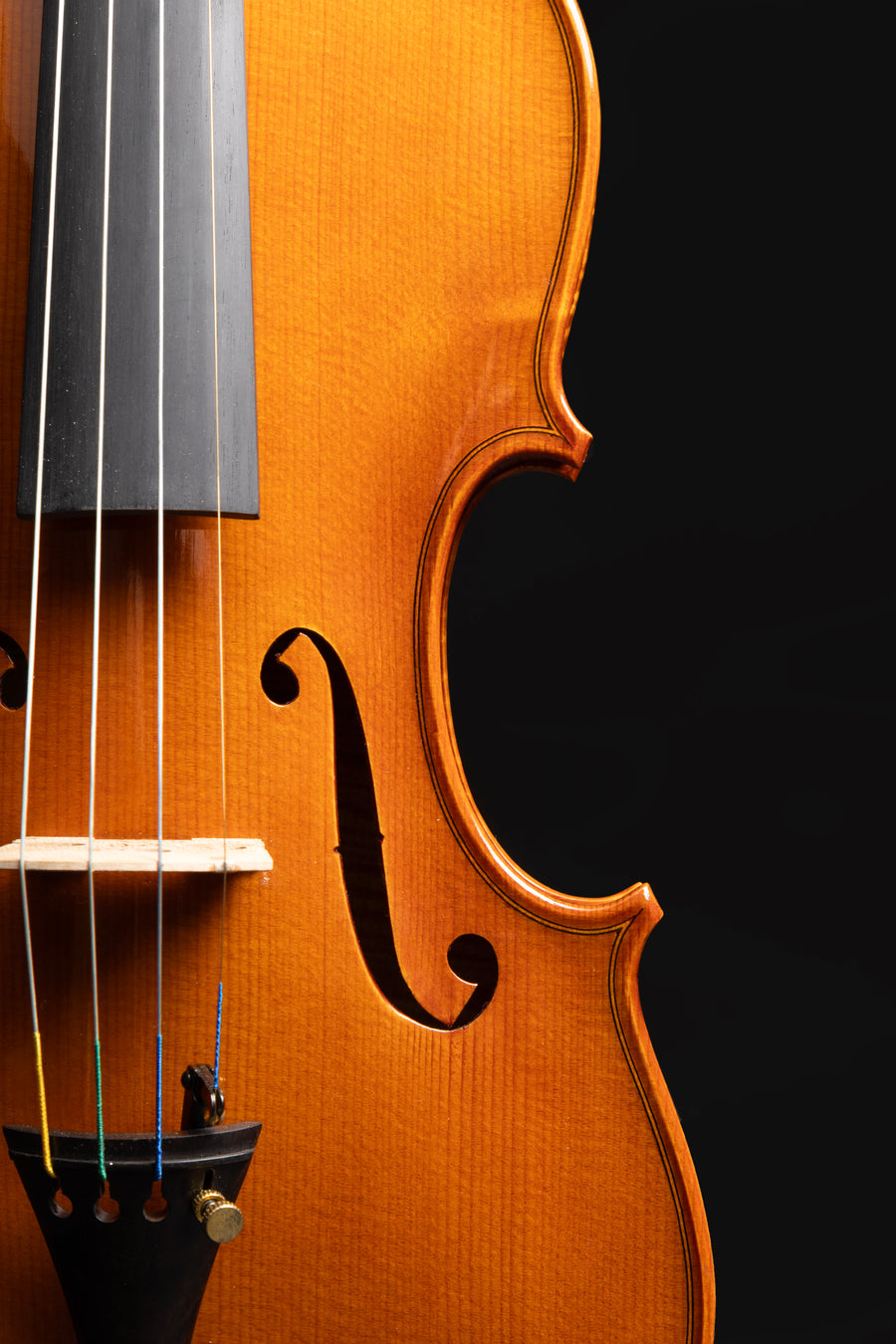 Violino Splendore