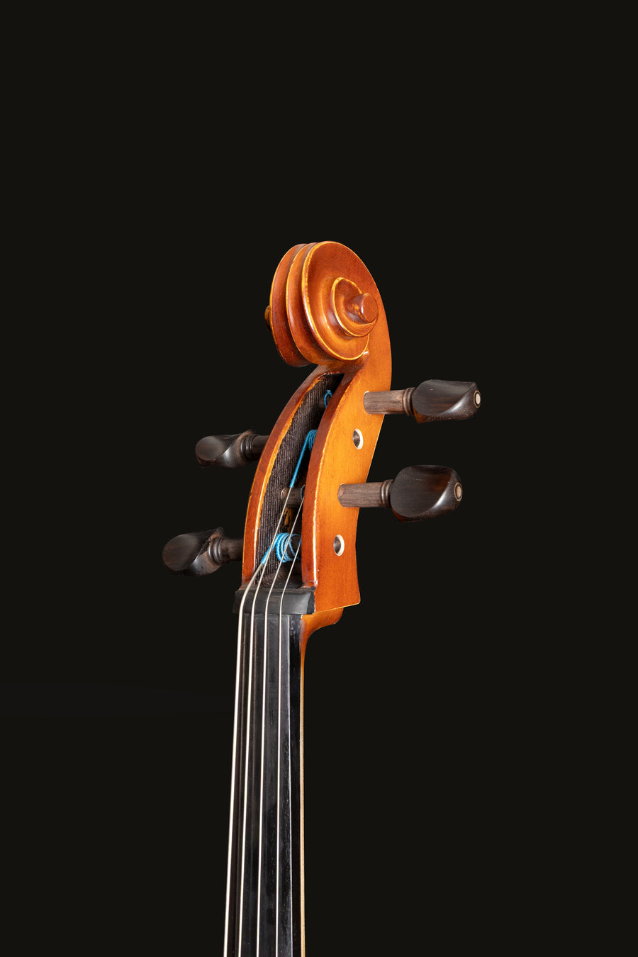 Violoncelo Grandioso