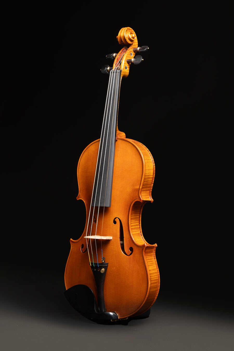 Violino Splendore