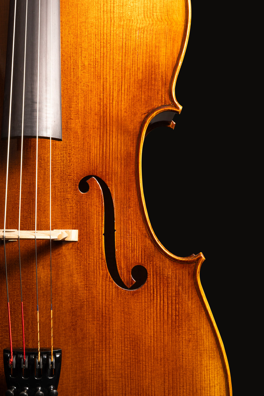Violoncelo Maestoso