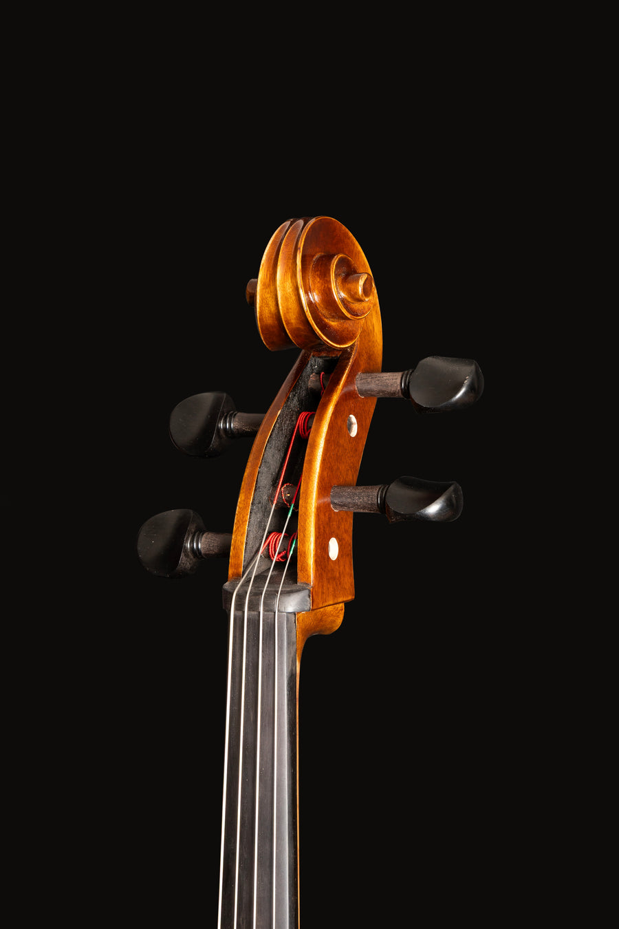 Violoncelo Maestoso