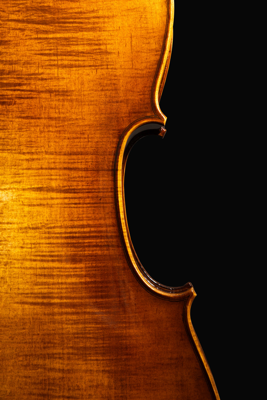 Violoncelo Maestoso