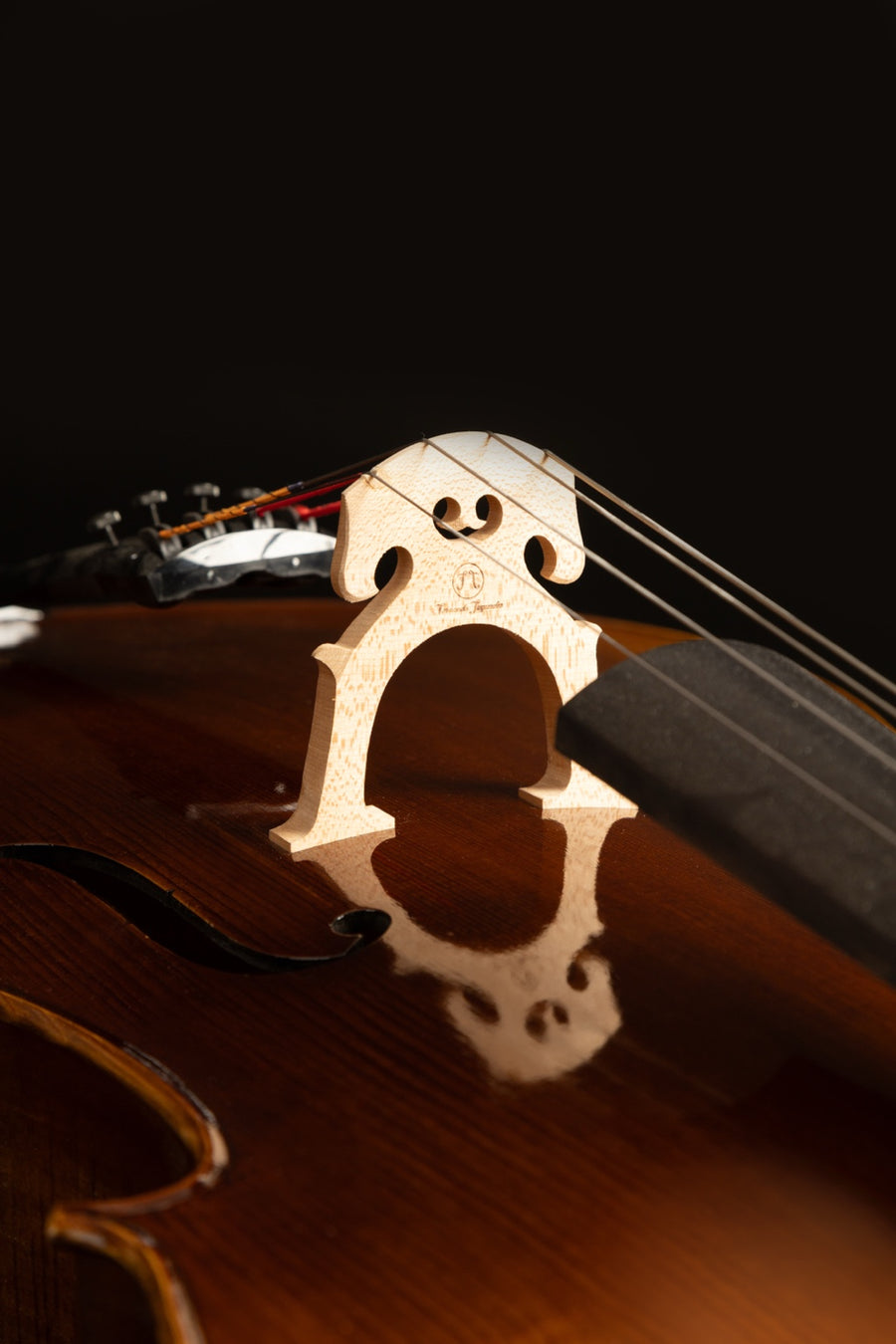 Violoncelo Maestoso