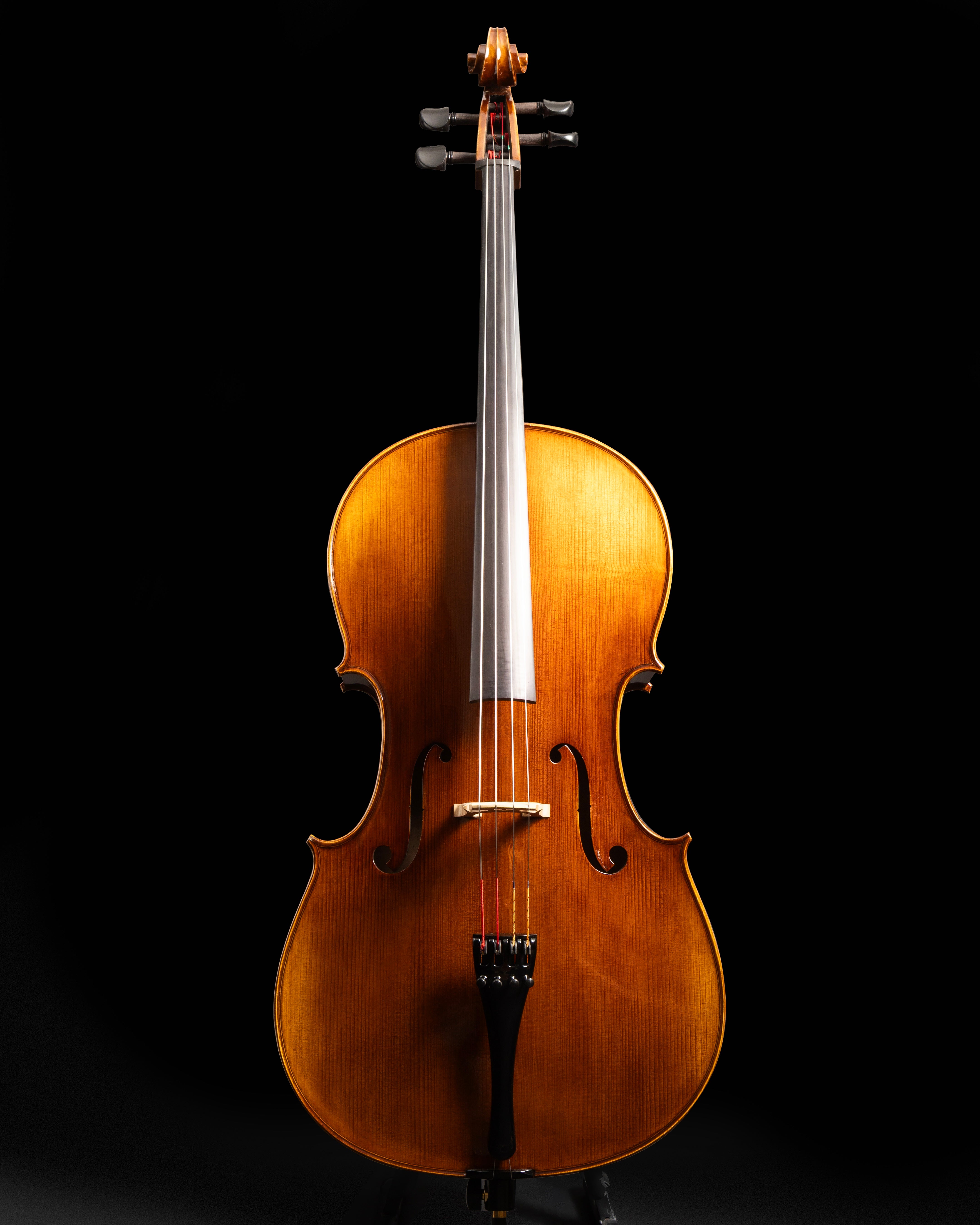 Violoncelo Maestoso