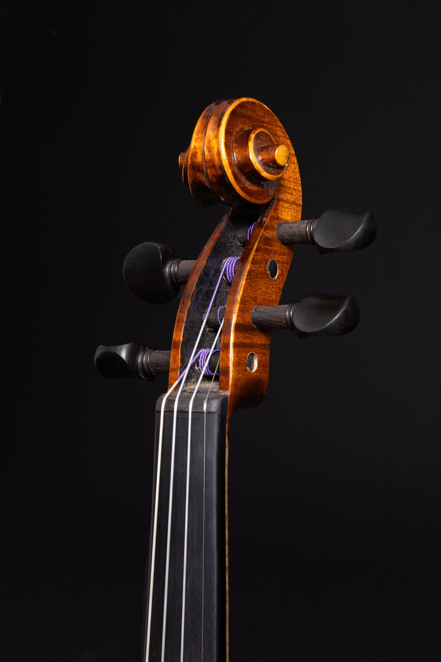 Violino Virtuoso