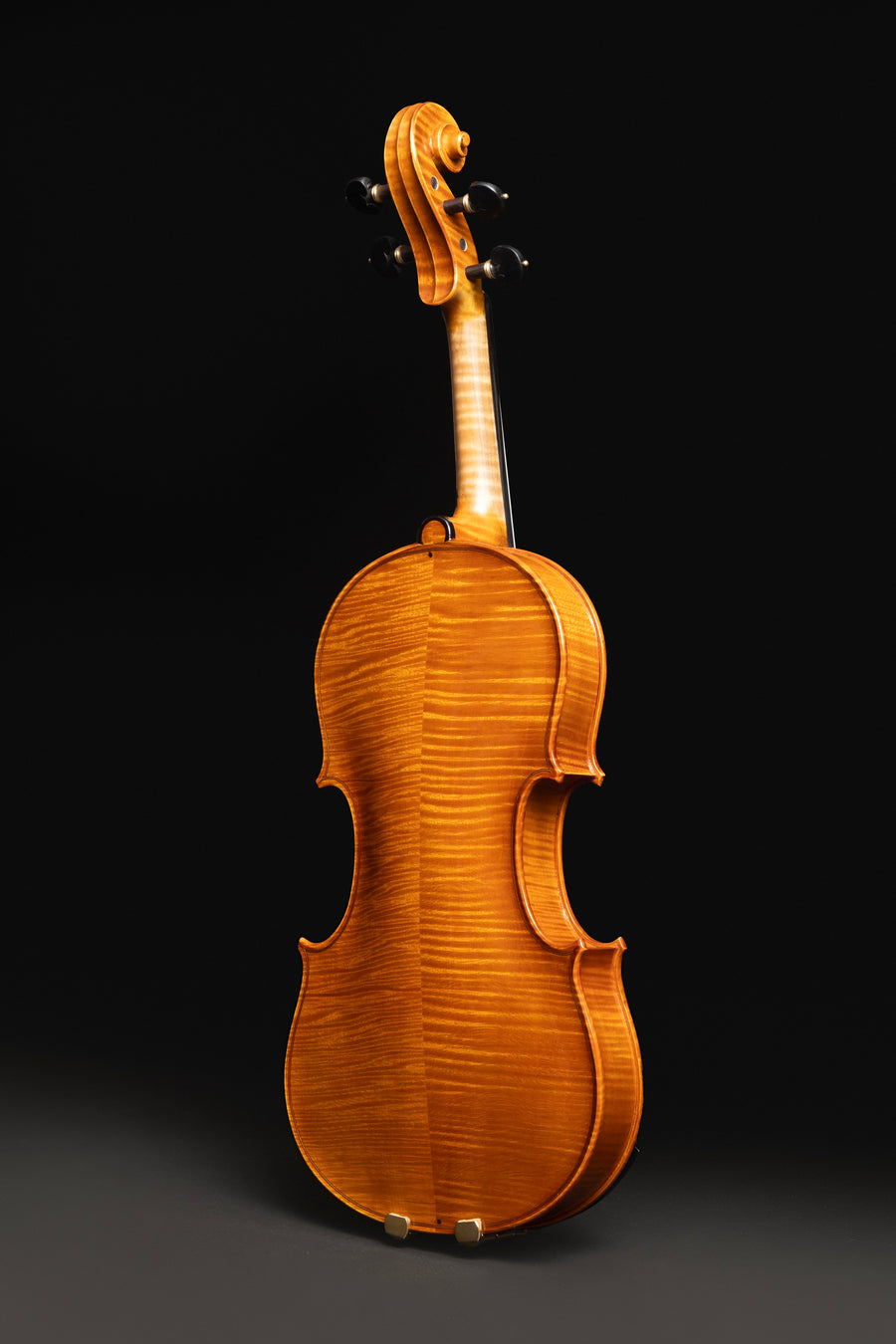 Violino Splendore