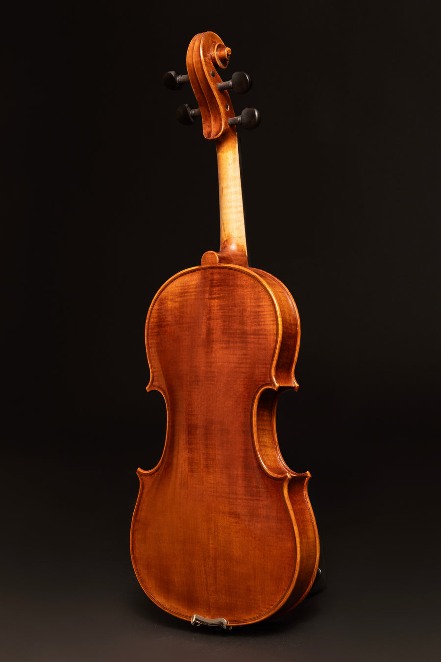 Violino Sogno