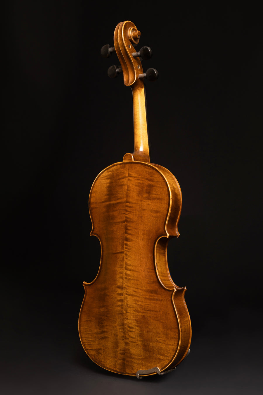 Violino Passione