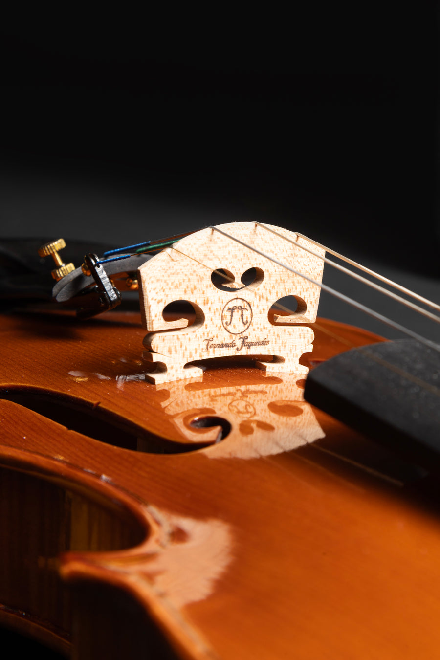 Violino Splendore