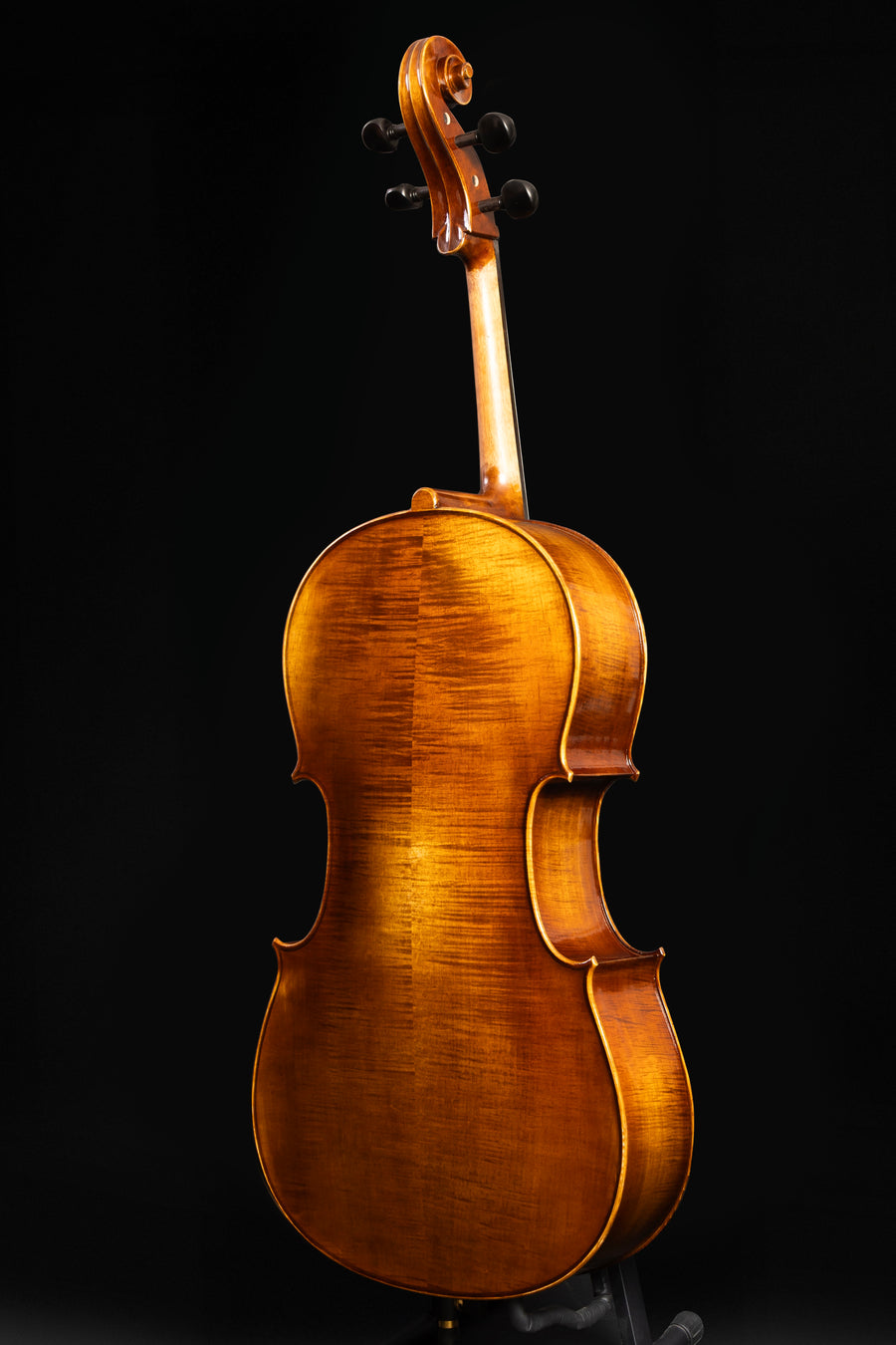 Violoncelo Maestoso