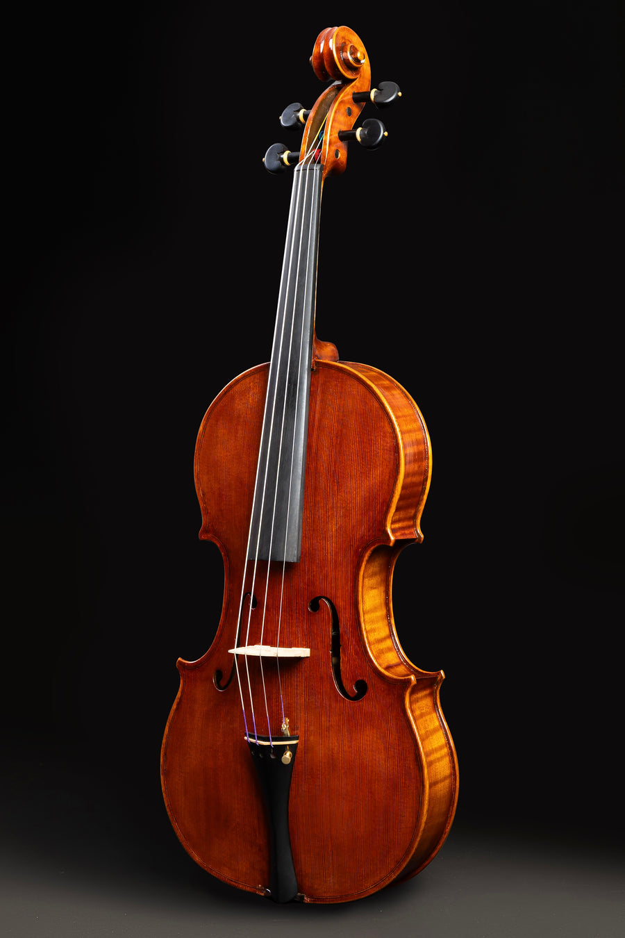 Viola Fratelli Amati – foto 3