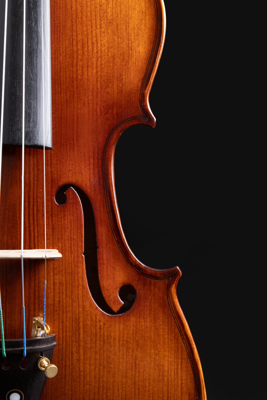 Violino Armonia