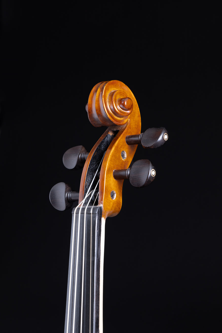 Violino Armonia
