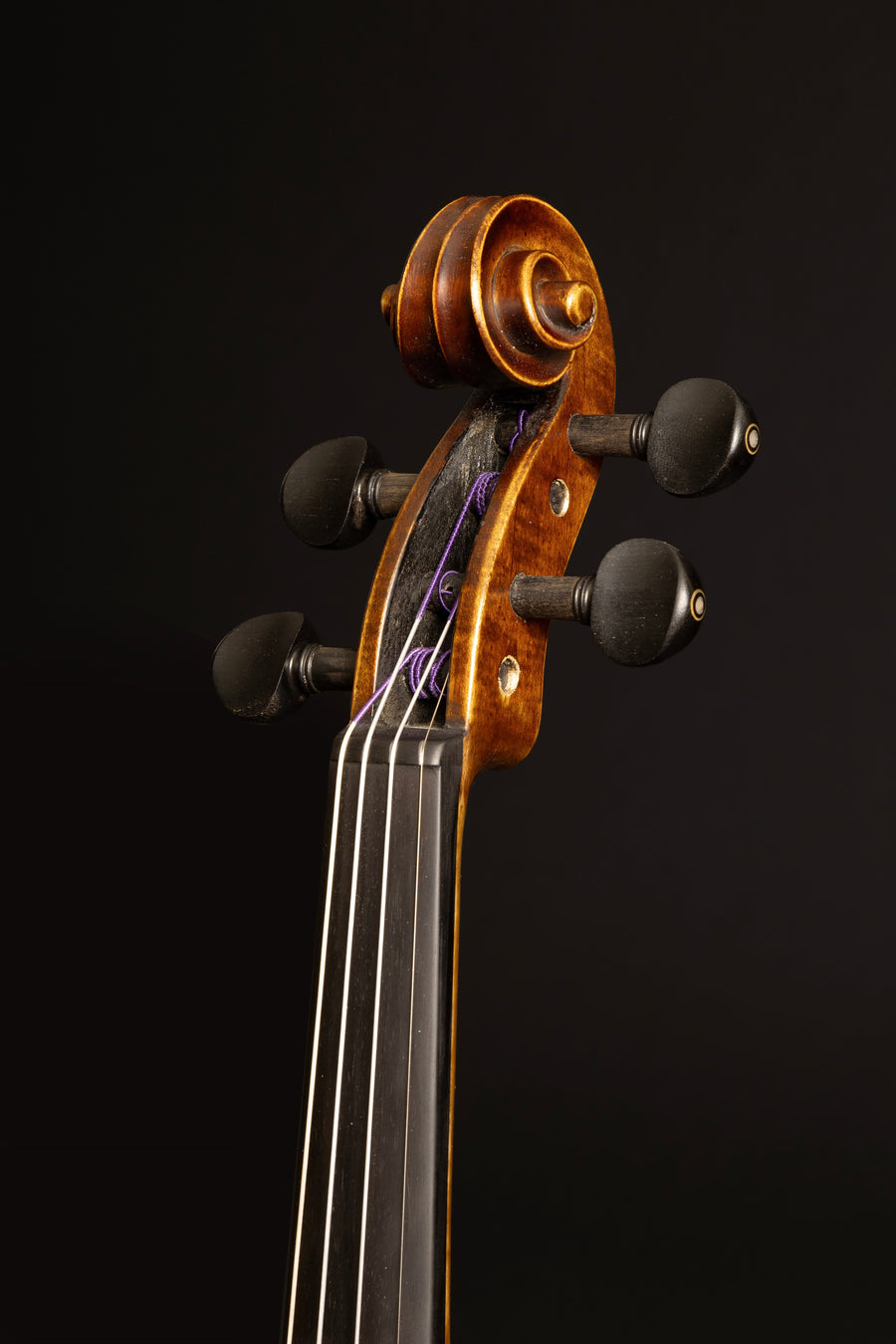 Violino Prezioso