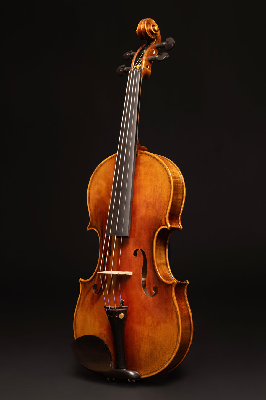 Violino Incanto