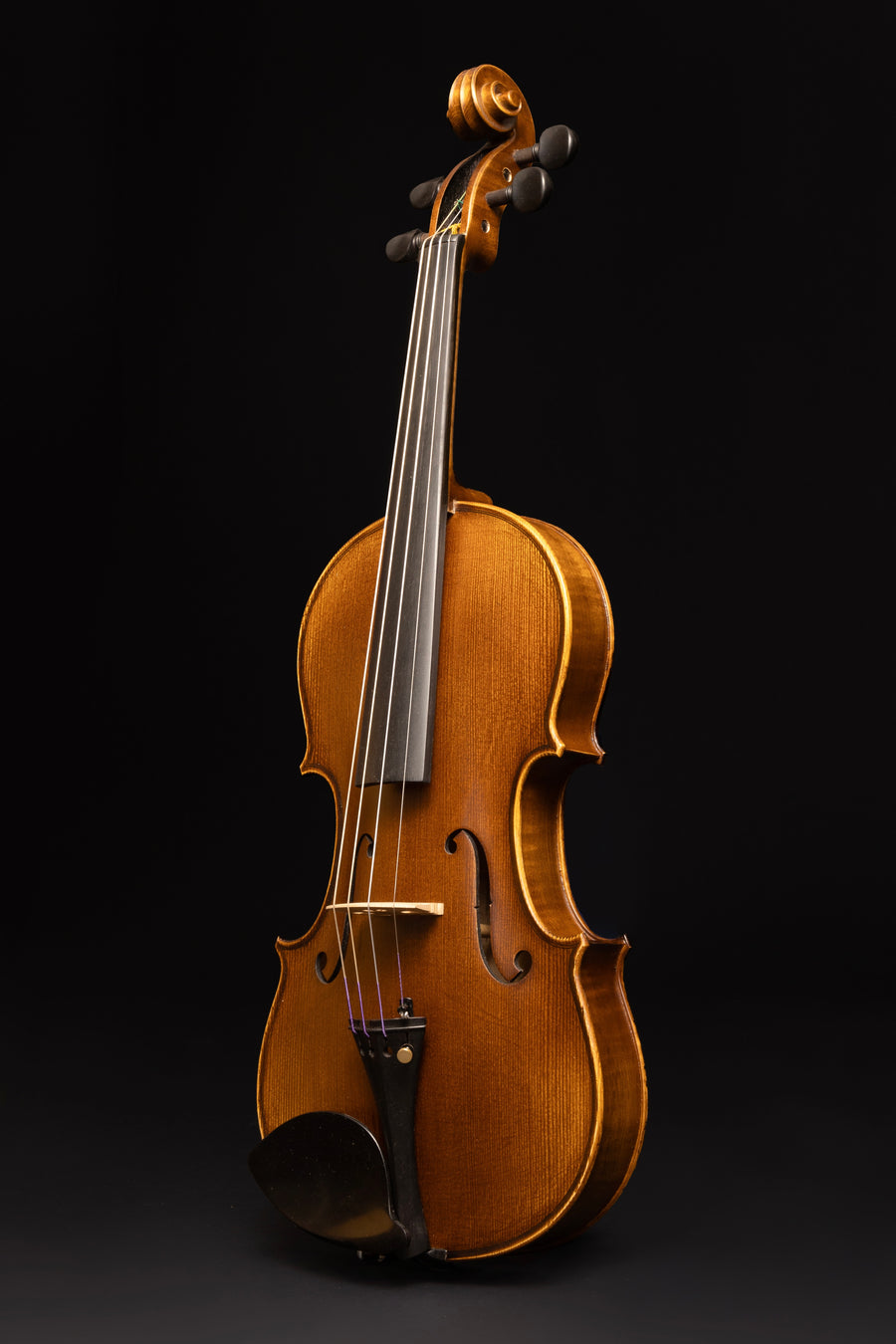 Violino Passione