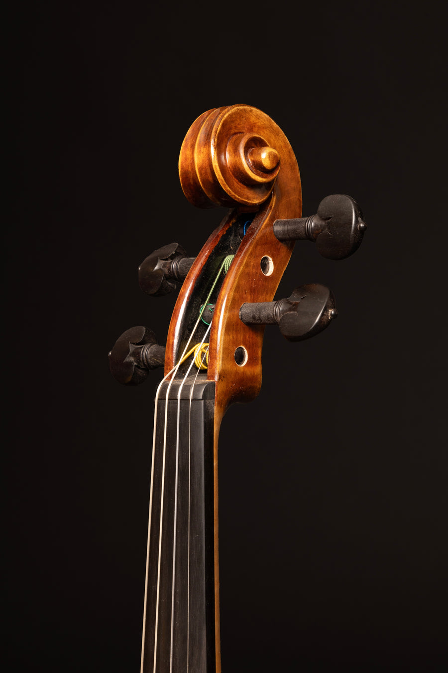 Violino Incanto