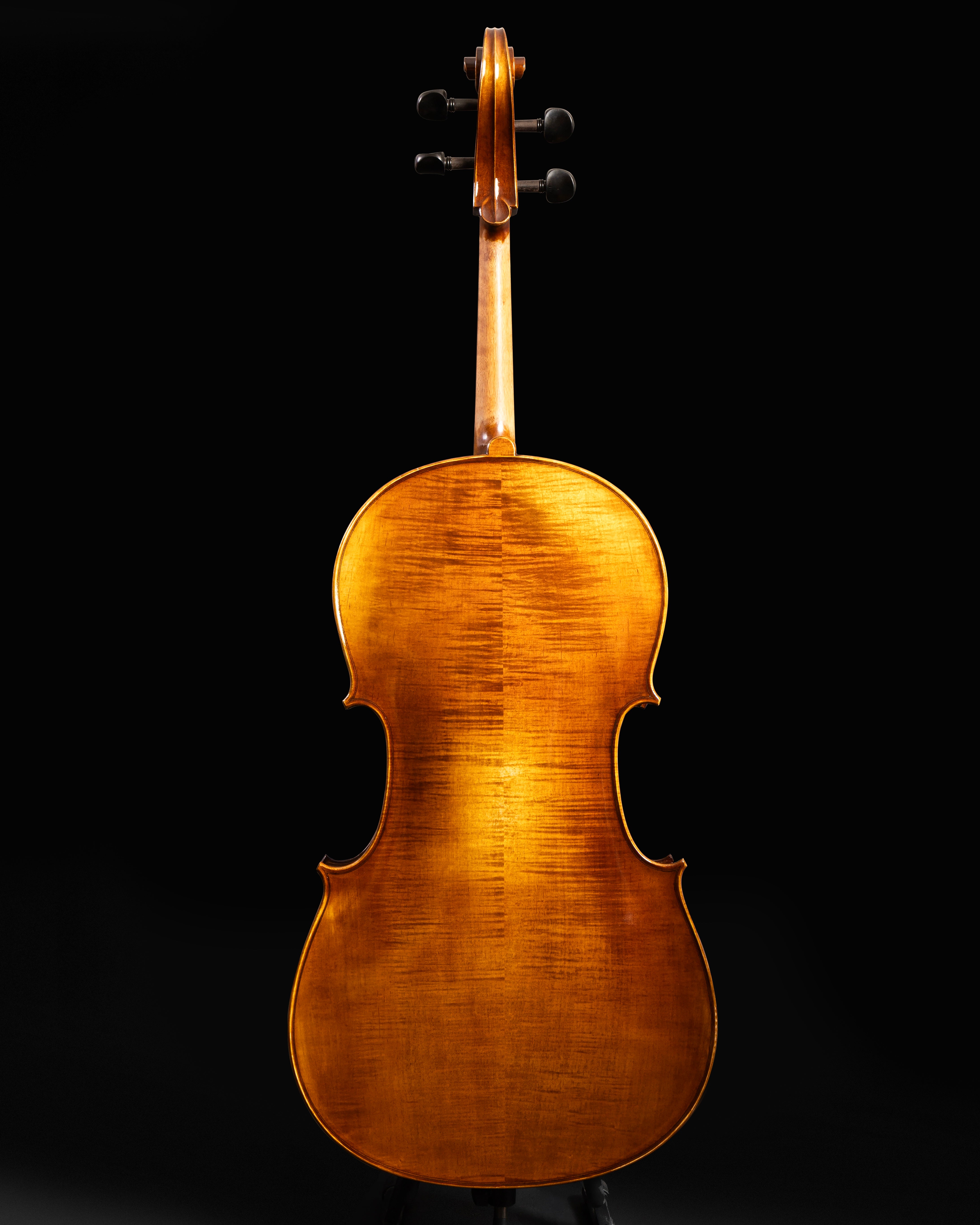 Violoncelo Maestoso