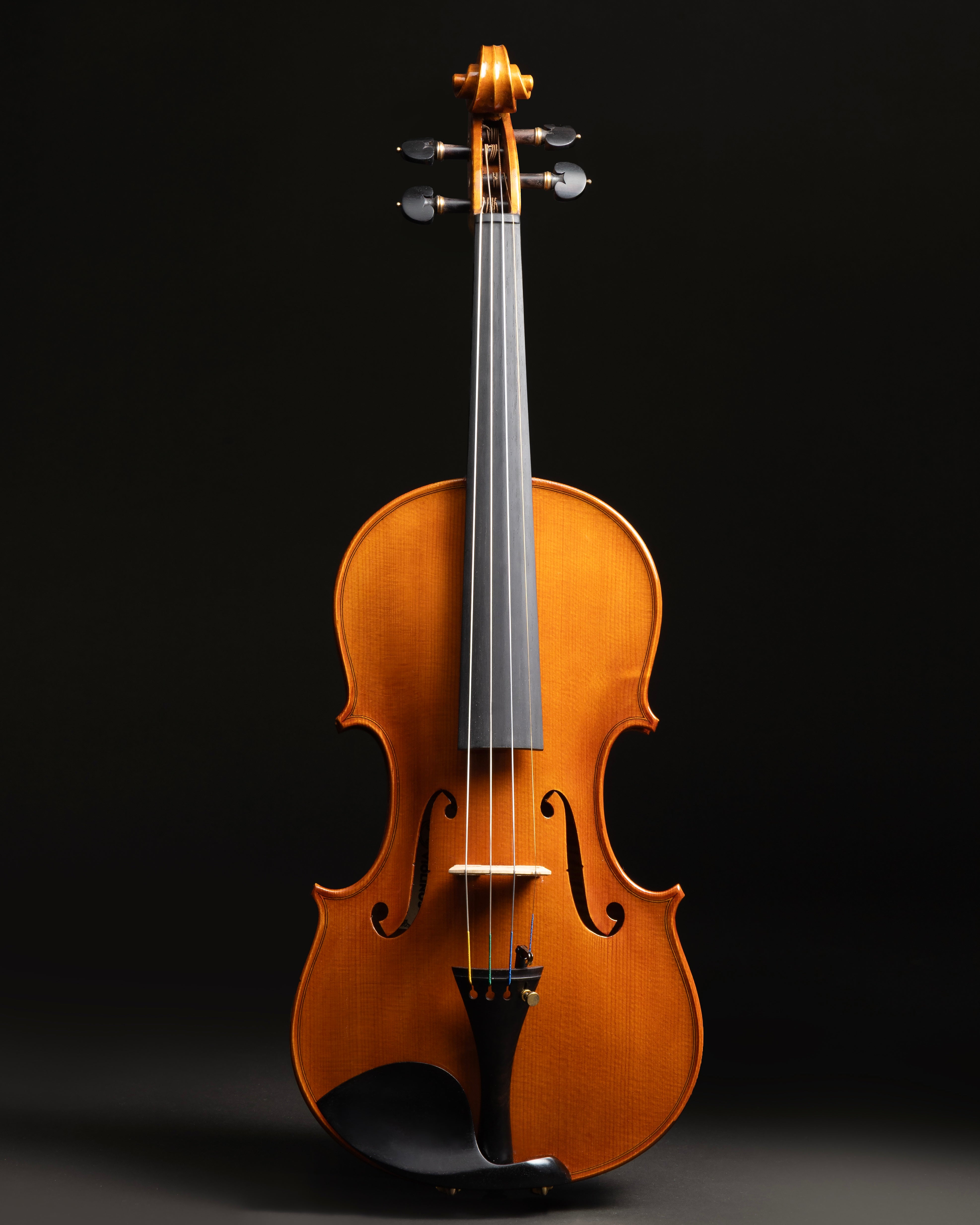 Violino Splendore