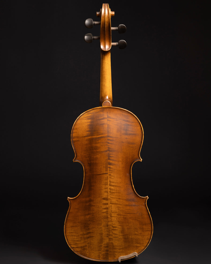 Violino Passione