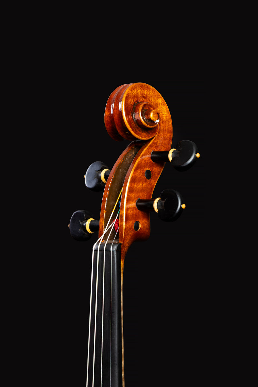 Viola Fratelli Amati – foto 5