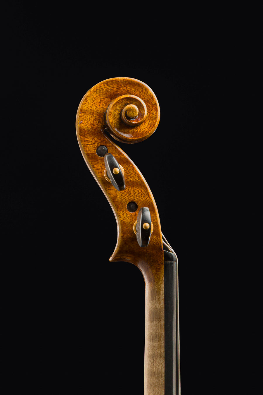 Violino Pietro Guarneri di Venezia – foto 7