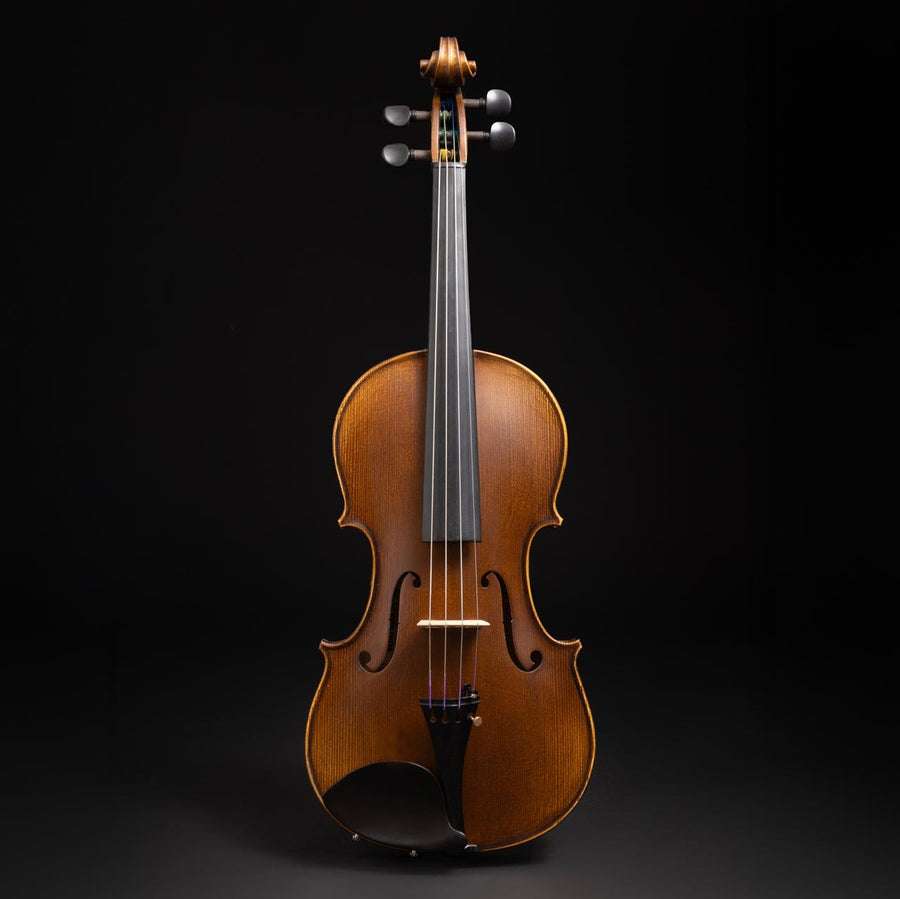 Violino Passione