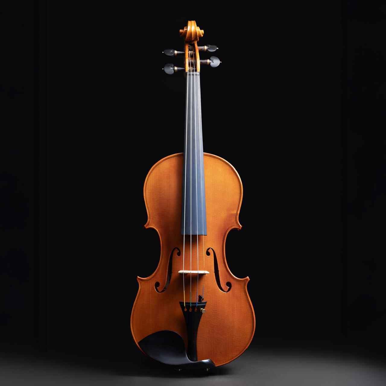 Violino Splendore