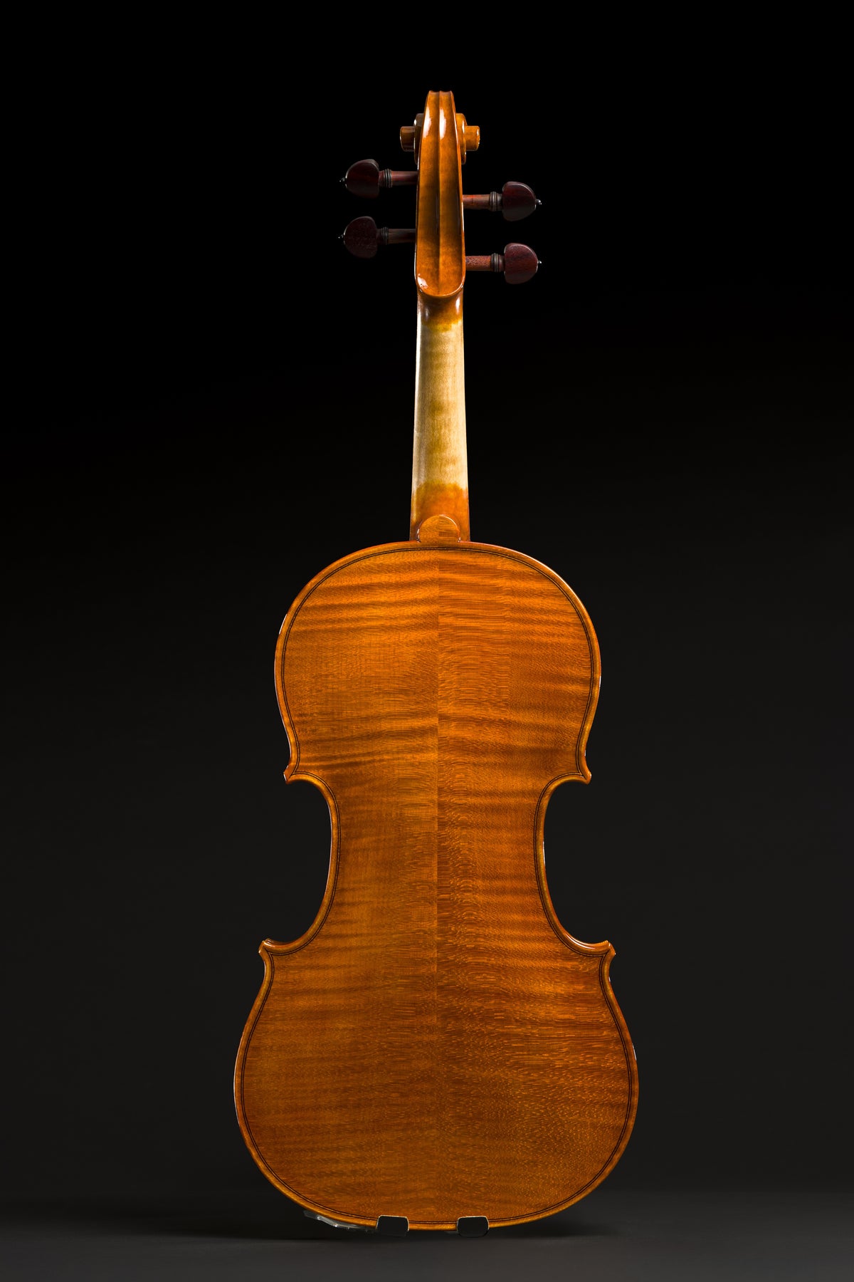 Violino Aurea
