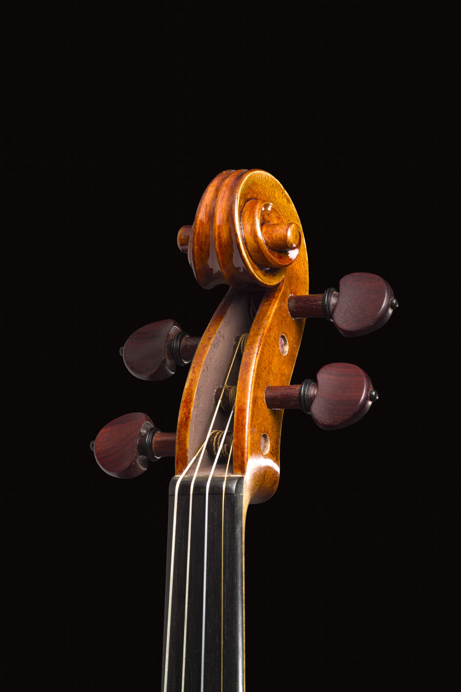 Violino Sublime