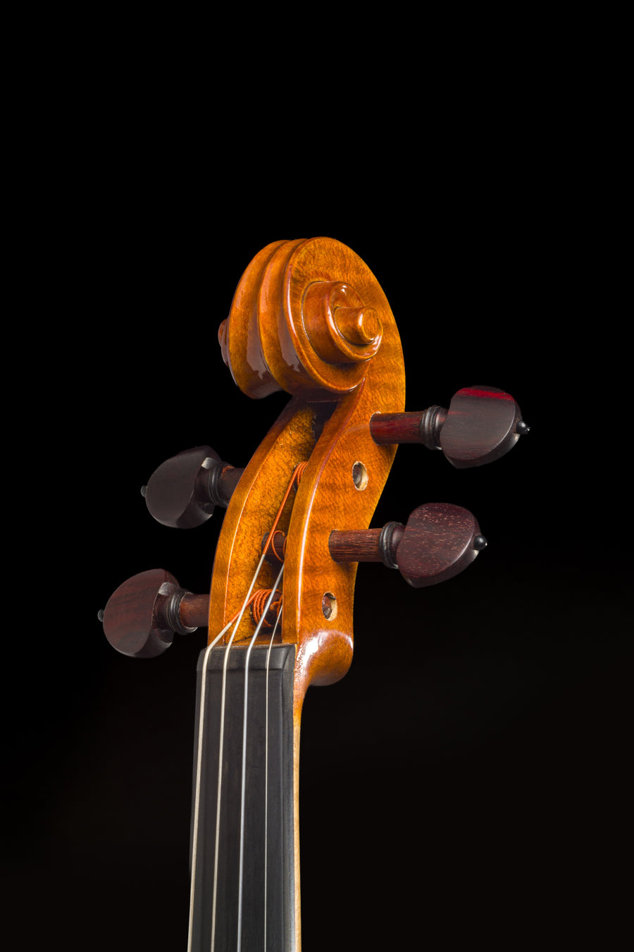 Violino Aurea