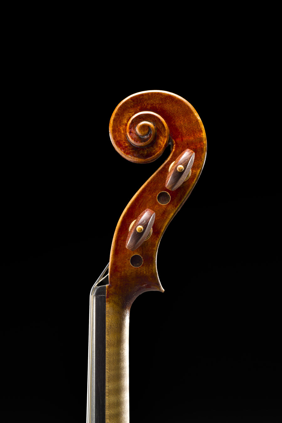 Violino Stradivari – foto 8