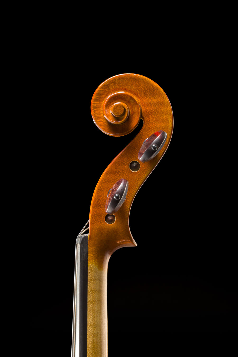 Violino Aurea