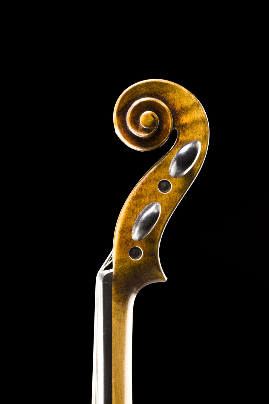 Violino Prestigio