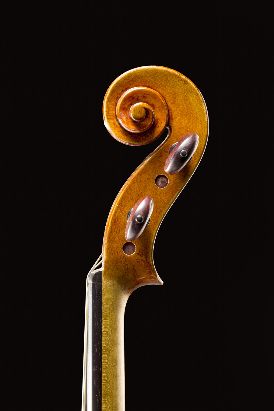 Violino Sublime