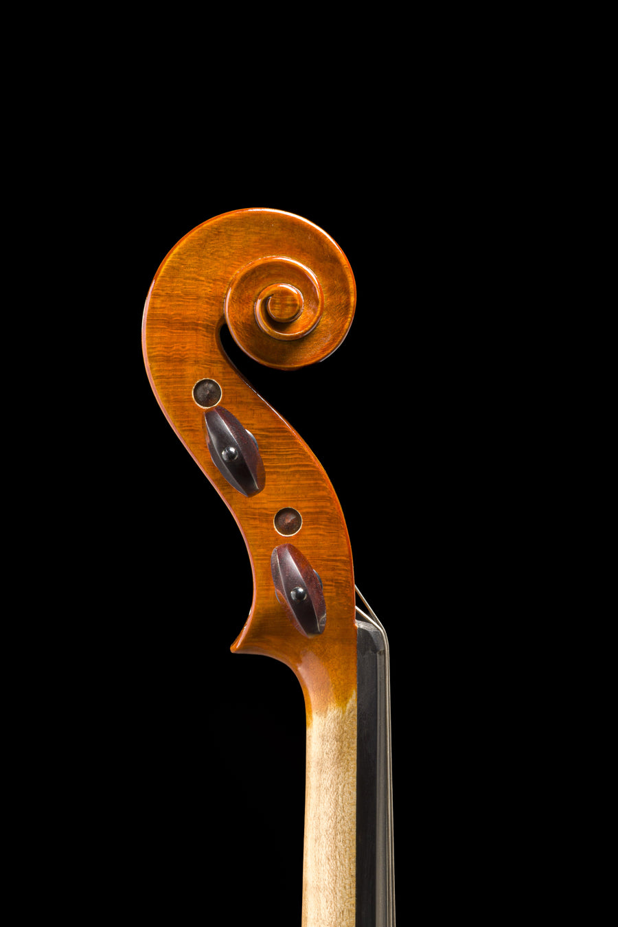 Violino Aurea