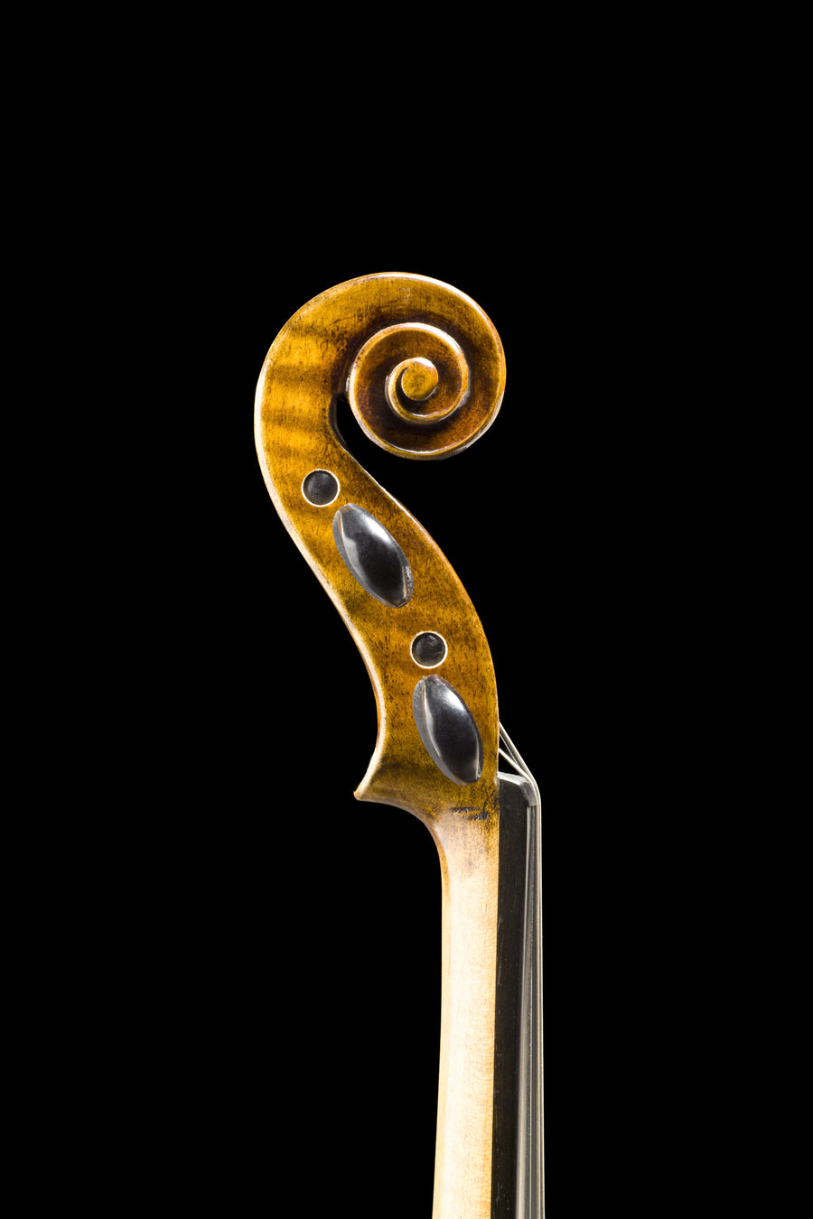 Violino Prestigio